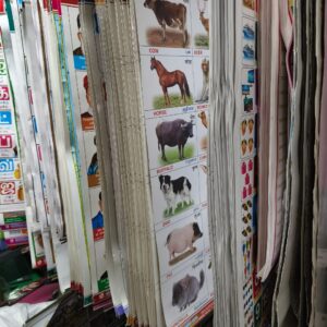 Domestic Animal Chart